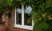 Triple glazed UPVC casement window finished in White with Wisteria growing around exterior from Anglian Home Improvements