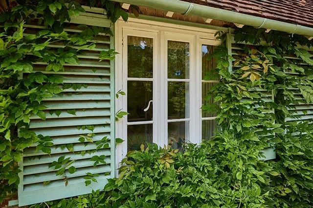 Secondary glazing white window unit leafy exterior