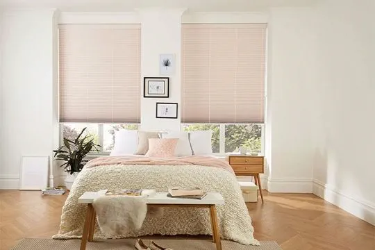 Pleated Blinds 2